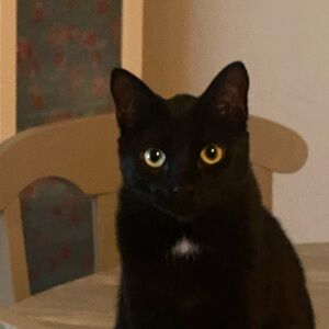 Meet your Posher, Elisa